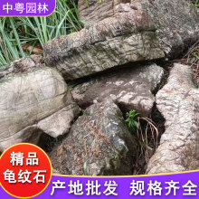 龟纹石批发鱼池假山石园林景观石花园庭院绿地草坪点缀流溪驳岸石