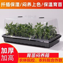 �Ӻ����琞�B��Ǥ���ѿ͸���w�Ӷ��␞�B���ر�������P��ů��