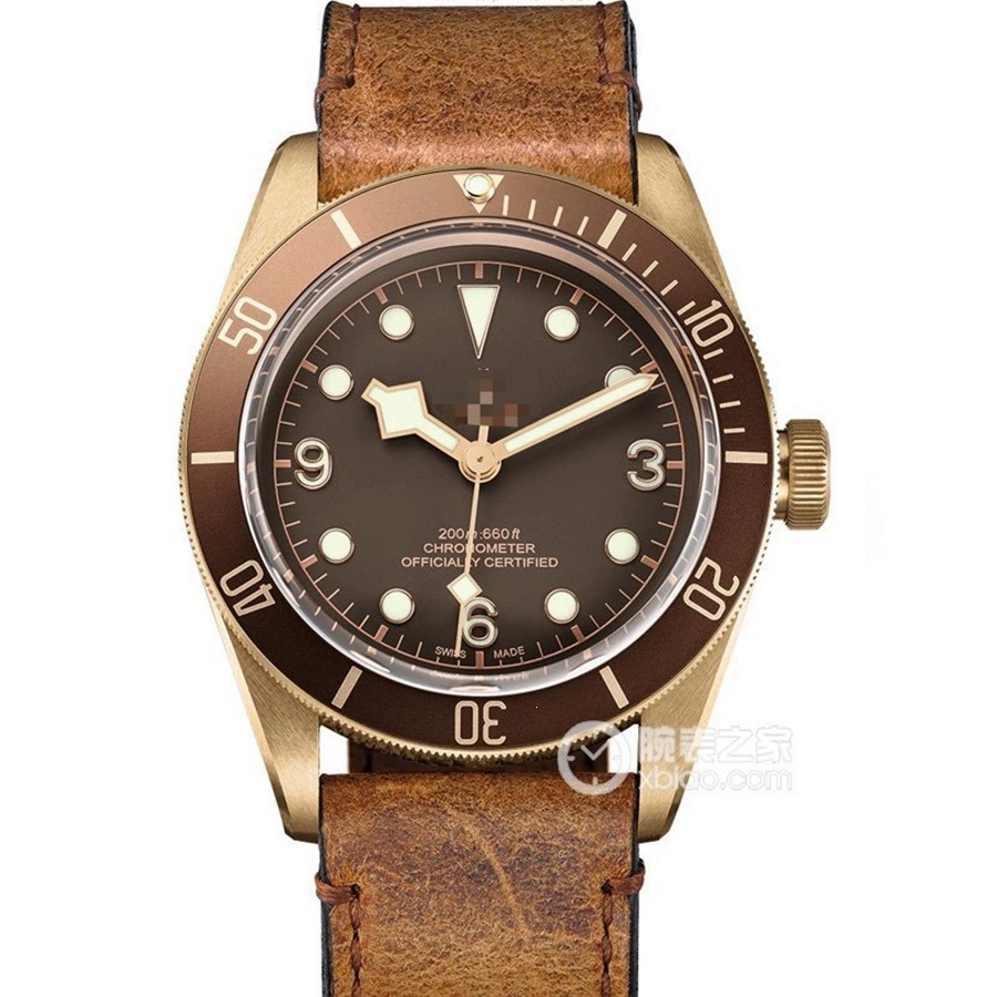 Tudor Black Bay Bronze 79250BM