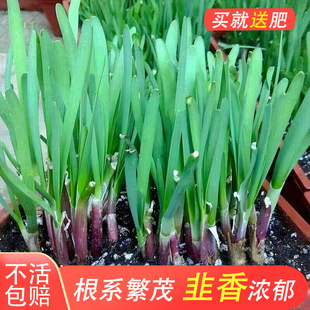 ϸ²˸玧׳ɻƷNt50wrҌ~~Nֲ100w