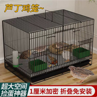 �J���u�����Bֳ�\�Ӽ��ü��ܴ�̖�J���u�F�z�\С�uС�����g���B�\