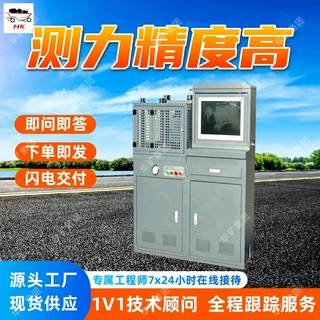 微机伺服抗折抗压试验机 DYE-300A型微机伺服抗折抗压试验机