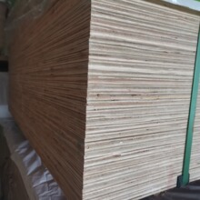 �|�Z�� ��ȼ�z�ϰ� �A�� B1��E1���� ��Ҏ�� �b��