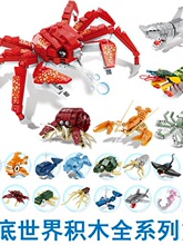 ��������eľ���ݺ����������~�з�����^ƴ�b���С�w���к�����