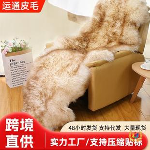 ?��ɫ��ë��̺�͏d�h���|���Ҵ�߅��̺Ƥëһ�w��Ƥɳ�l�|���ҵ�