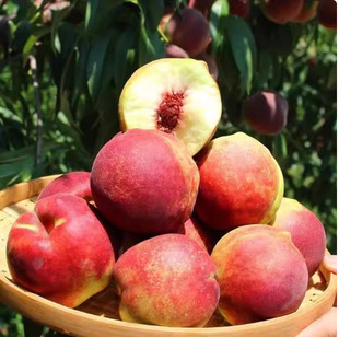 ɽ�|�������Ҵ���Ӳ�����r����ë����������Ӳ���ЋD����ˮ����