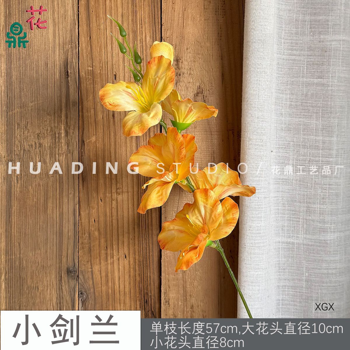 Gladiolus nhỏ XGX màu vàng vàng