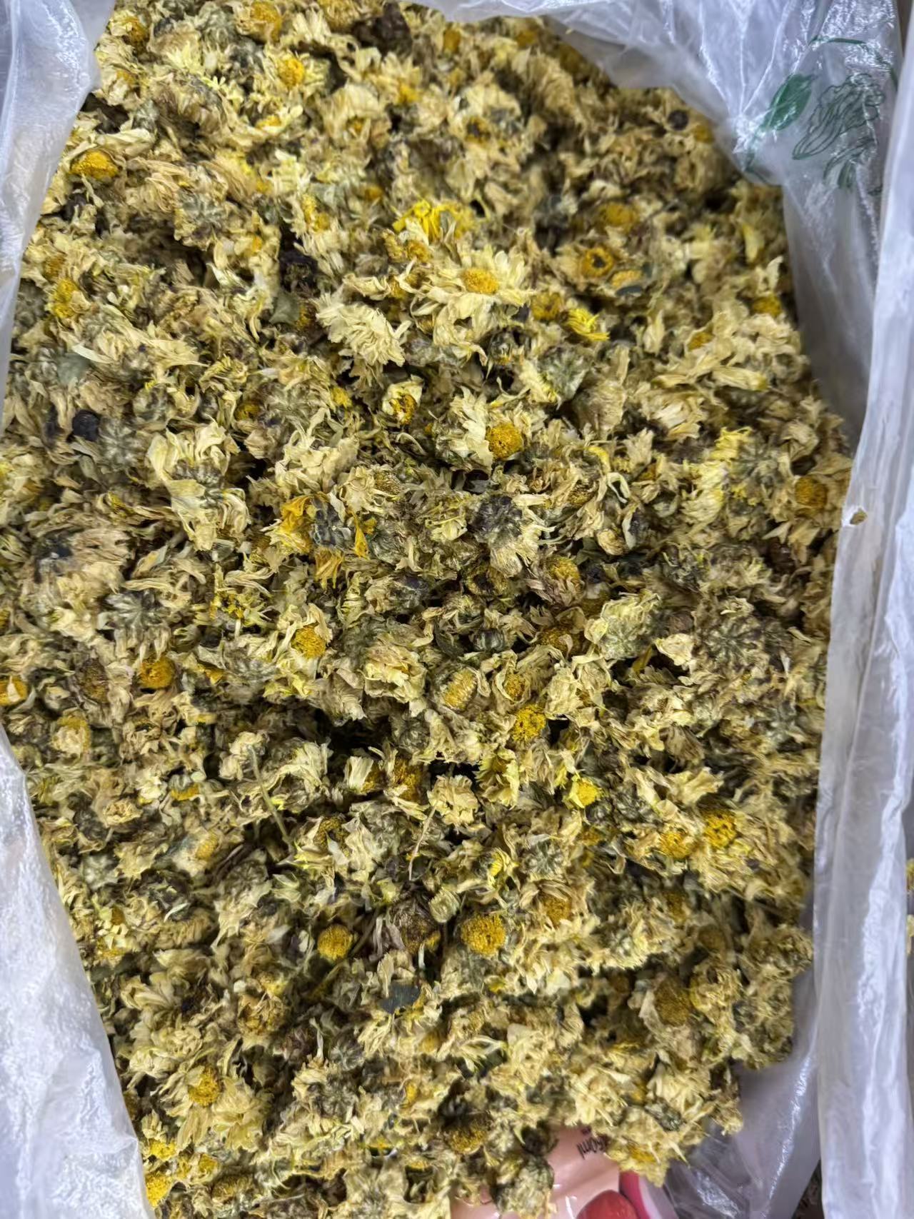 Dried Chrysanthemum Flowers Ju Hua Loose Herbal Tea 1000g Bulk Bag Sun Dried Whole Blossoms in use