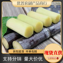 广西黑皮甘蔗新鲜当季水果整箱包邮脆甜多汁应当季甘蔗一件代发