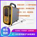 不分散红外一氧化碳气体检测仪 KY-600型CO检测仪