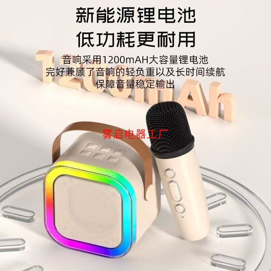 Portable Bluetooth Speaker, Small Speaker, Karaoke with Wireless Microphone, Ambient Light, Harman Bass, High-Looking Speaker