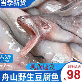 舟山特产龙头鱼新鲜豆腐鱼海鲜鲜活冷冻水产九肚鱼生鲜水潺3年货