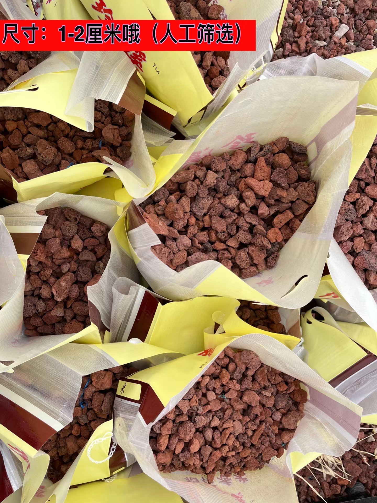 9파운드 1~2cm 정도 빨간색 [미세체]