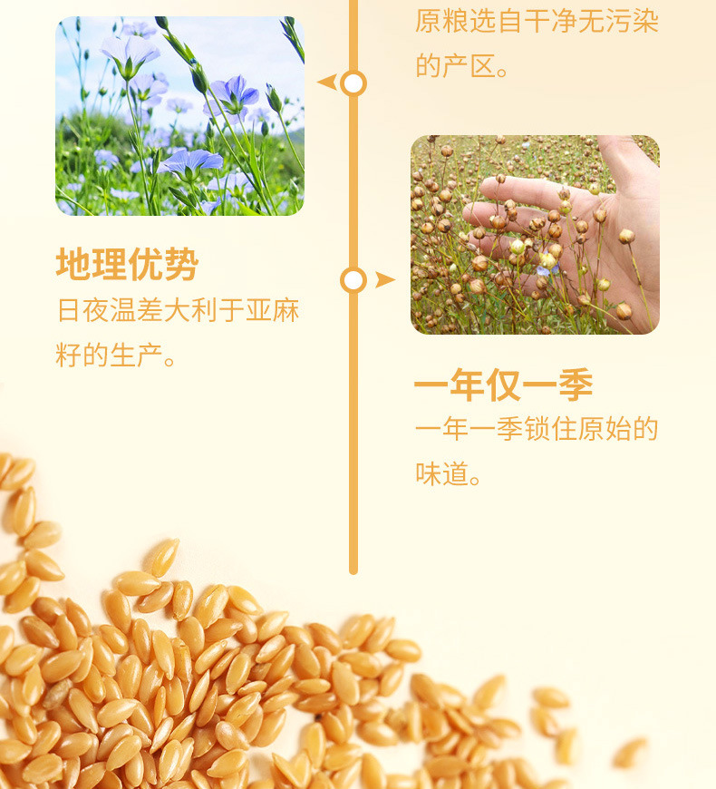 Golden Flaxseed Powder (Linum usitatissimum) — Low-Temperature Roasted, Freshly Ground key features