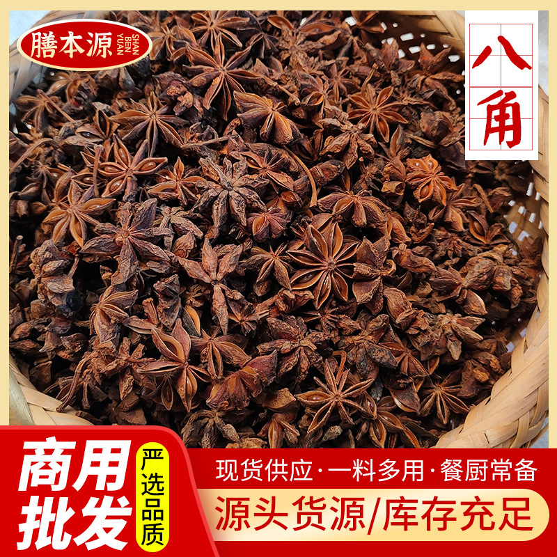 正宗八角干大料 香料广西产地卤料大茴香干调味品 大茴香干无硫磺