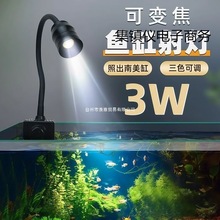 ��׃ɫ�����r�����~��������~���쾰ˮ���~�ן�ԭ���ן�