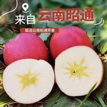 �����ͨ��ʿ���O��9������ļt¶��ʿ�O�����rˮ�������ЋD���