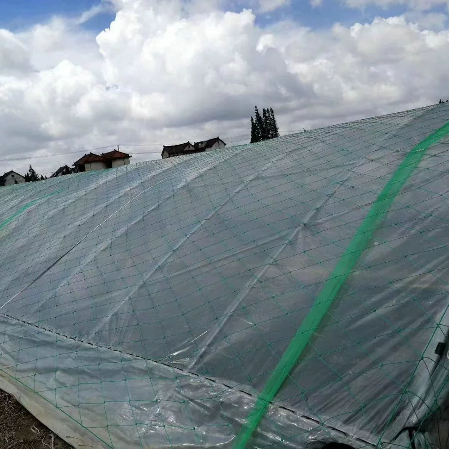 Производители в Гуанчжоу обрабатывают и заказывают тепличные сети, устойчивые к старению, новые материалы, полиэтиленовые ветрозащитные сети, высокопрочные нейлоновые защитные сети