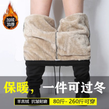 加绒裤子男士羊羔绒休闲裤冬季加厚保暖裤一体加绒棉裤防寒潮代发