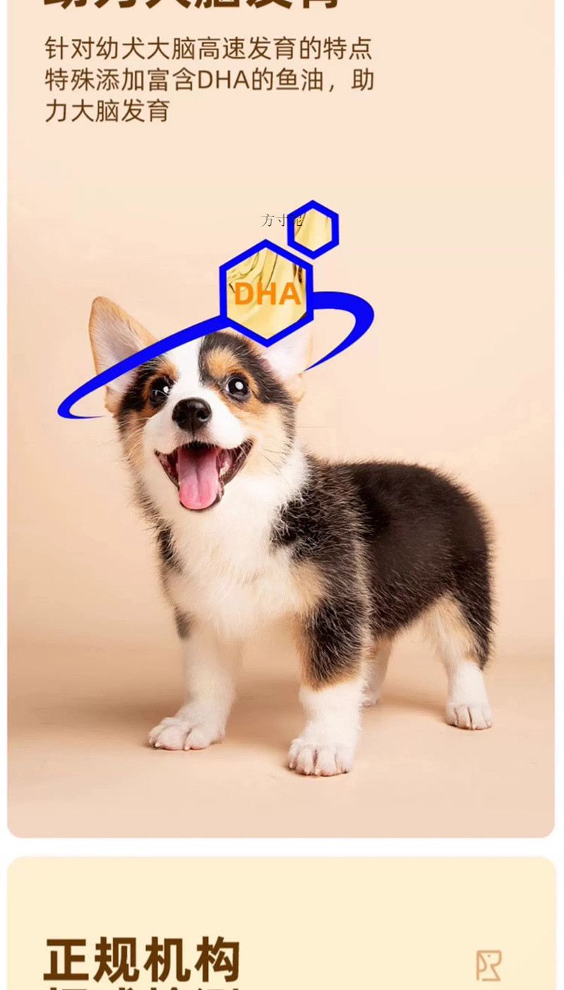 ddfbe0a9-ff68-422c-b202-4b1eb27466f6.jpe