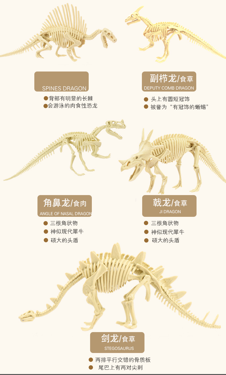 恐龙化石挖掘考古益智玩具天然宝石手串儿童幼儿园礼物地摊货源详情8