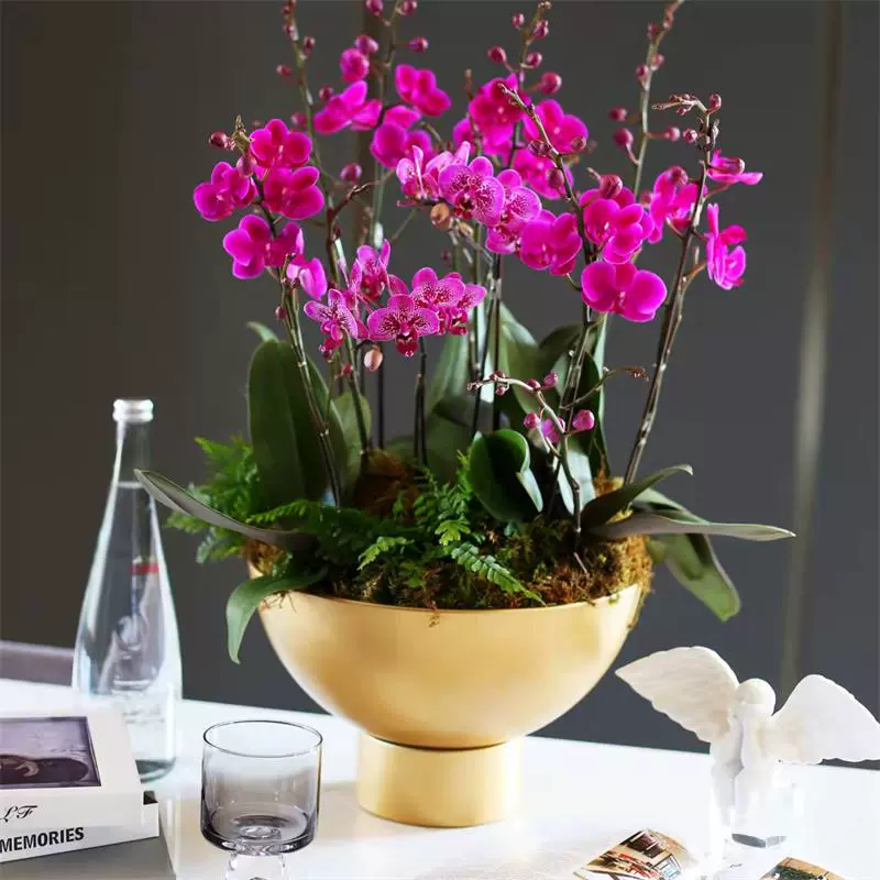 Металлический высокий горшок для орхидеи фаленопсиса, зеленое растение, цветочный горшок, цветочная композиция из ивы, праздничная настольная цветочная композиция, украшения