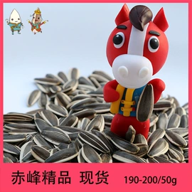 瓜子;生瓜子;干果生货