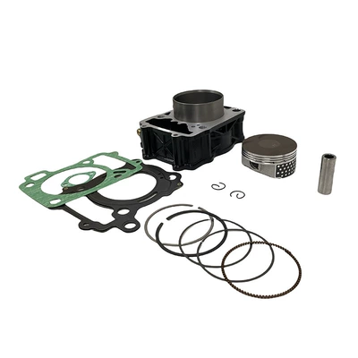 Pulsar 200Ns Rouser – Cylinder and parts