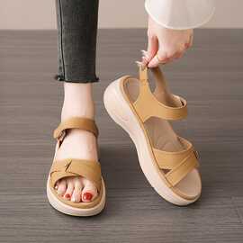 2025新款跨境外贸亚马逊图片自家支持平台大大码厂家批发TEMU代发