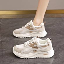 ��������һ�w��ЬŮ���ЌW��2025�¿��п��w����ԇ�w�y�\��Ь