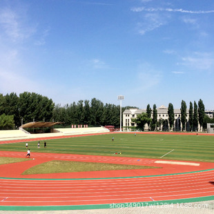Plastic Track Epdm Particles Plastic Particles Basketball Hall Kindergarten School Plastic Track Environmentally Friendly Venue Factory