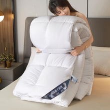 秋冬加厚保暖羽丝绒被子酒店双人被芯厂家直销礼品被学生棉被代发