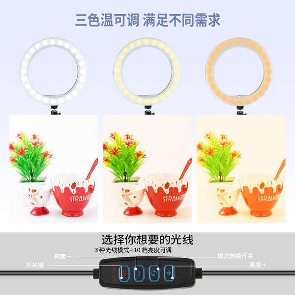 mobile phone