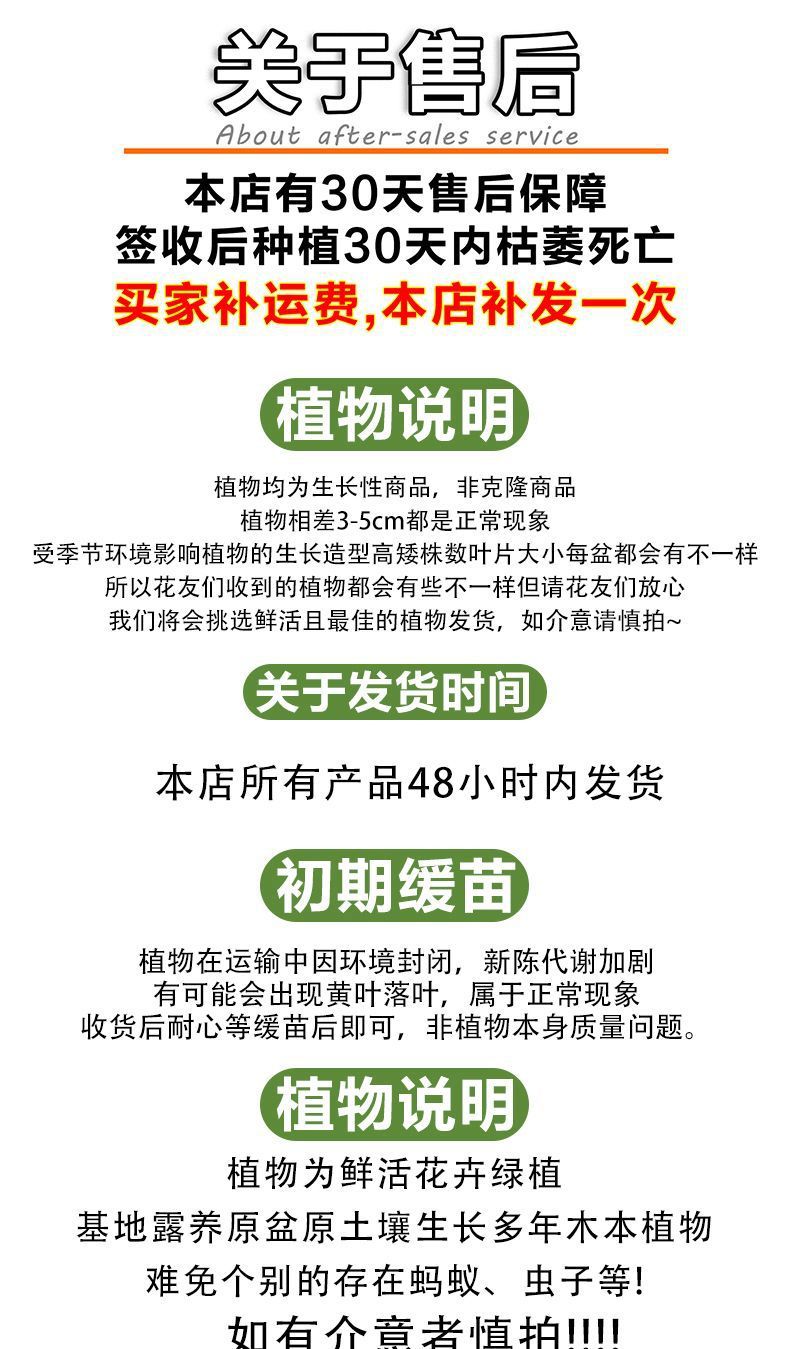 ec07f90b-f160-4adc-b2d3-a1f3ae48252b.png