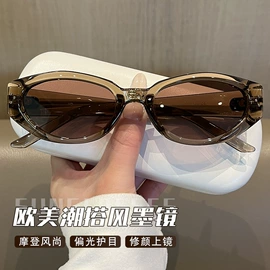 框架眼镜;眼镜片;太阳镜