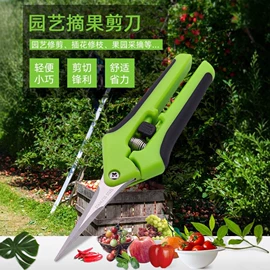 修枝剪;办公剪刀;厨用剪刀