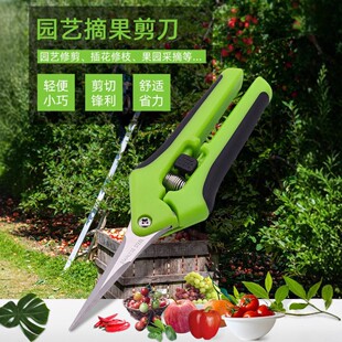 ���P�ֱ�^��֦����֦�����@�ֹ���ժ����֦�����@ˇ�޻���Դ�^�S