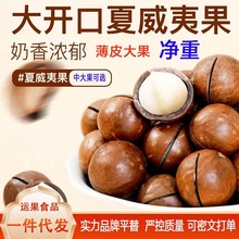 夏威夷果奶油味大果薄皮坚果零食500g 代发胡桃果手剥夏威夷果