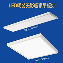 �_��600������30��픟�20x1�ɿɿع�TRIAC600x�����bLEDƽ�����