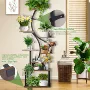 植物跨境展示金属植物架