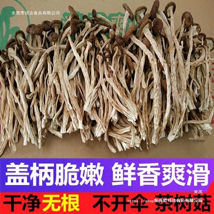 �V��������乽��؛���_��500g ���r���_�ɲ�乽��؛һ�ﲻ�_Ĥ