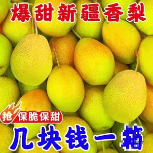 �½��젖���������rˮ������3/5/10�ﱡ���摪���t�������������