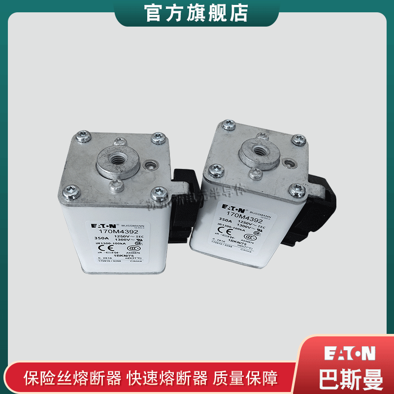 170M4308 4309 4310 4311 4312 4313 4314美国bussmann快速熔断器
