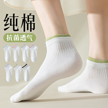 �m��Ů���ļ������޶��m2026�¿�Ů�m�����\���m�������������m��