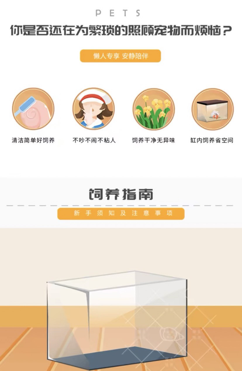 41e63ed8-8ce7-4a67-bc66-7253081a71b5.jpe