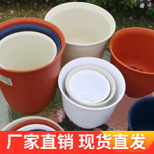 ���ϼӺ񱱚W�L����ջ������G�}ֲ���A��͸��С���մ�