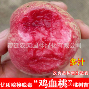 ������ɰ�tѪ�ҬFժ�t���������rˮ������ґ���ë��ˮ���Ҙ���