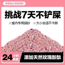 ؈ɰ����؈ɰ10��20�ﶹ��ɰ؈���������l�Y�F����؈ɰ