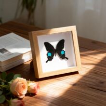 ������˱��b� ��Ʒ�[̨�ҾӔ[�����W�L���w�ֹ�diy���նY��Ʒ