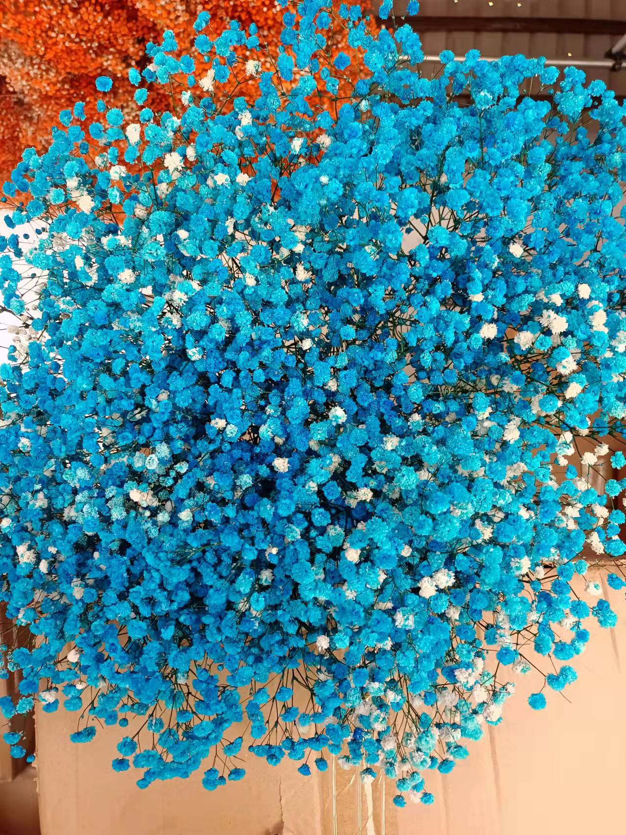 微信图片_20220209094037